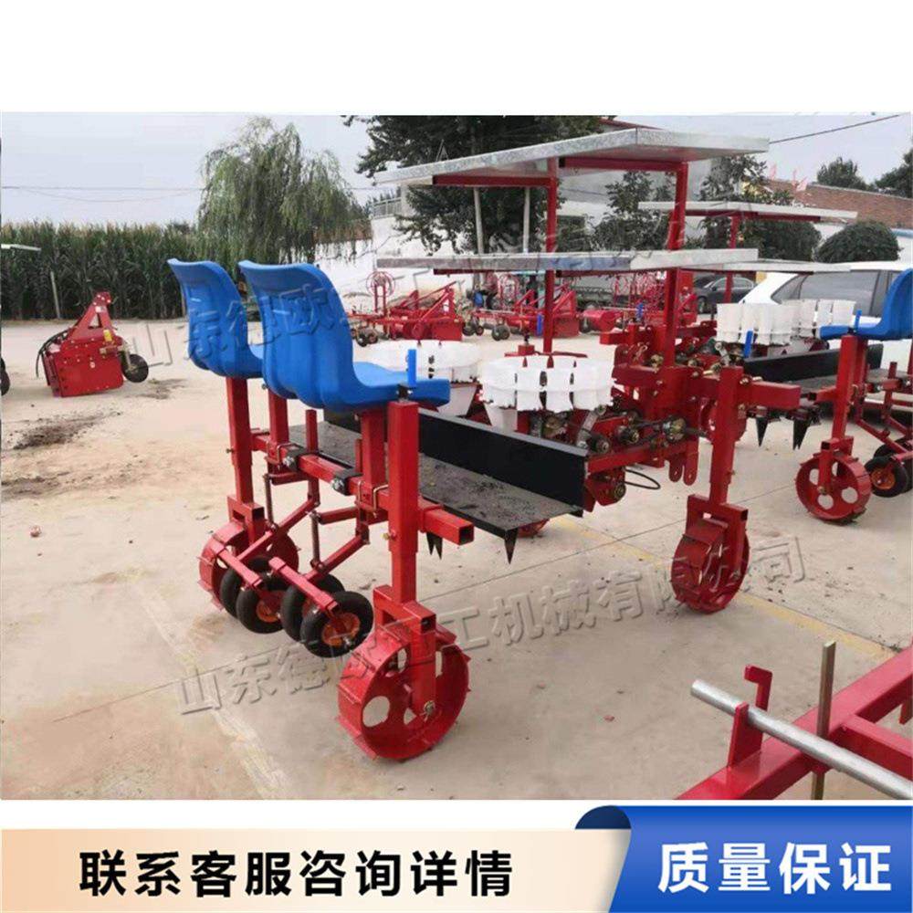 自动行驶双垄移栽机 皮带传动蔬菜水果栽种机 蔬菜大棚秧苗种植机,农机/农具/农膜,播种栽苗器/地膜机,淘宝优惠券,粉丝福利购,淘宝优惠卷