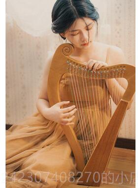 正品akeh莱雅琴初学者16弦迷你竖i乐器便携式小琴型箜篌里拉琴s乐