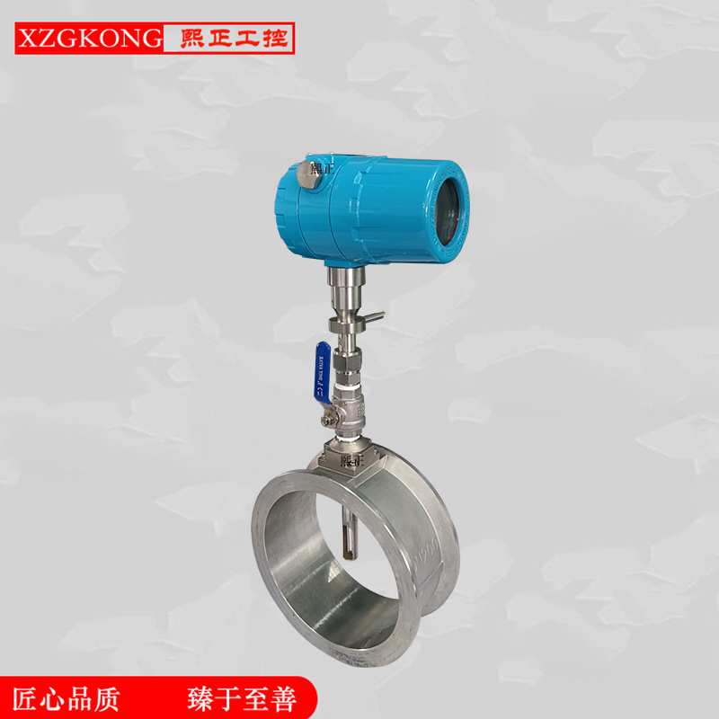 大口径管道插入式法兰式压缩空气天然气防爆热式气体质量流量计