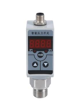 PTP31B-AA4U1SGBWWJ-AA4M1PGBWWJ压力开关控制器模拟量报警输出