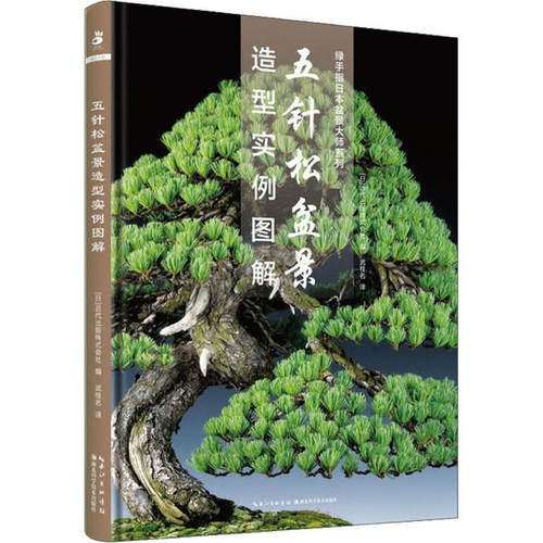 正版新书 五针松盆景造型实例图解 9787570607242 湖北科学技术出版社