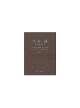 正版新书 宾阳洞/龙门石窟04.140.159窟 9787501031030 文物出版社
