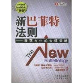 正版图书 新法则——震荡市中的大师策略 (美) (美)克拉克 北京海德堡 广东省出版社