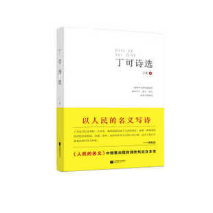 江苏文艺出版 正版 9787539996189 丁可诗选 社 二手