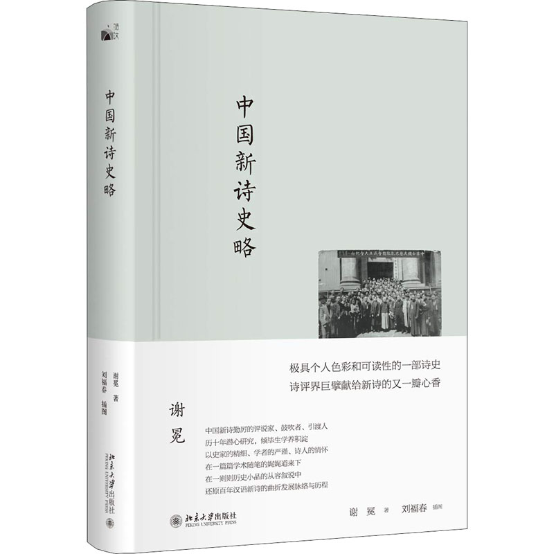 正版新书 中国新诗史略 谢冕 著 刘福春 绘 北京大学出版社 - 实物图