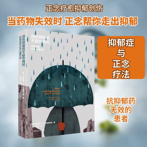 正版新书 当抗抑郁药不起作用时 抑郁症的正念心理疗法 (美)斯图亚特·杰·艾森德拉斯 著 宋文强 译 中国工人出版社