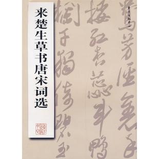 正版新书 来楚生草书唐宋词选 9787801869364 东方出版中心