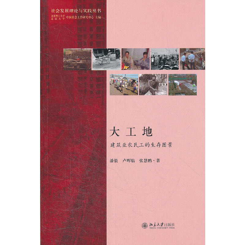 正版图书 大工地:建筑业农民工的生存图景 潘毅、卢晖临、张慧鹏 著作 北京大学出版社图片