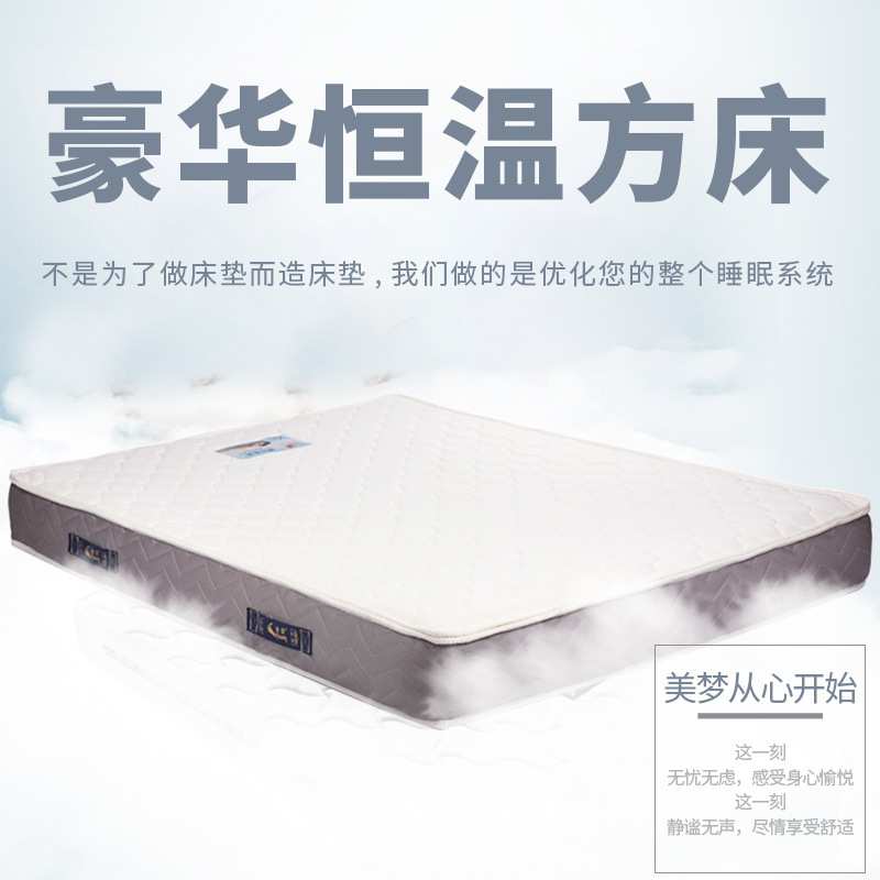 悠爱得家用双人单人电动恒温水床垫多功能成人大波浪水床垫