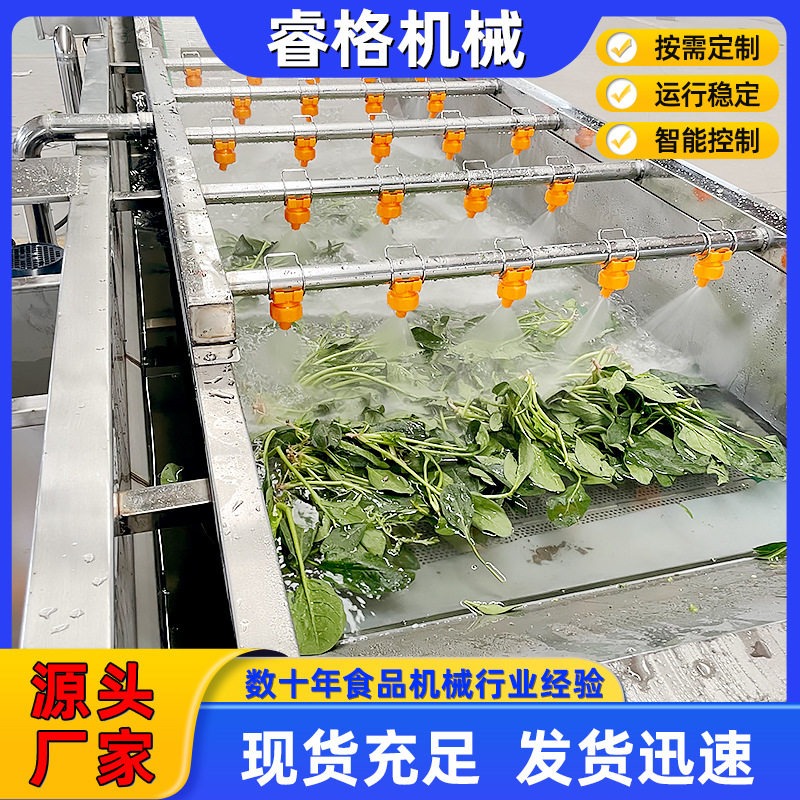 果蔬气泡自动清洗机菠菜蓝莓