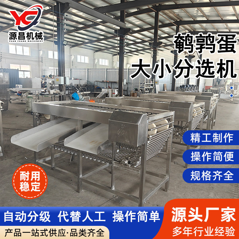 鹌鹑蛋筛选分级机不锈钢鹌鹑蛋分选机源头厂家滚杠式卤蛋分级机
