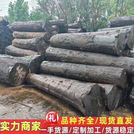直销枫木原木 法国枫木树瘤 影木 琵琶料 工艺品料 河流桌料 欧枫