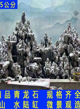 A6青龙石水鱼缸造景石微园景观造德景林假山石英产地自族然石天然