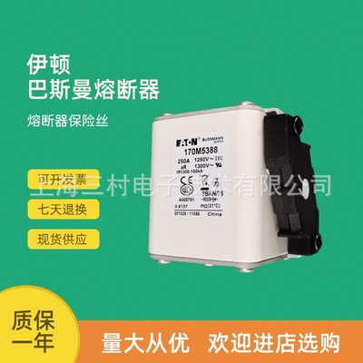 全新原装快速熔断器保险丝170M5371 170M5374 170M5388 170M5389