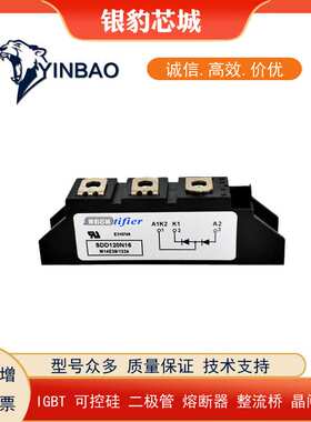 SDD120N08 SDD120N12 SDD120N14 SDD120N16 SDD120N18 矽莱克模块