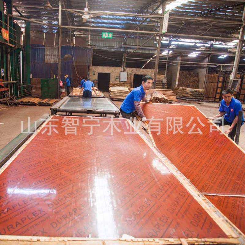 桥梁竹胶板厂家桥梁工地模板厚度符合行业标准版面如镜面般光滑,3C数码配件,摄像机配件,淘宝优惠券,粉丝福利购,淘宝优惠卷