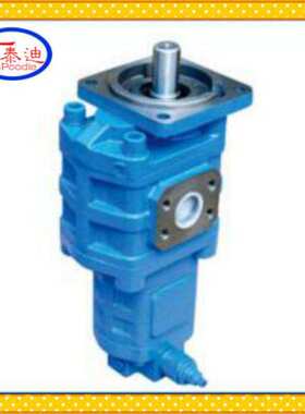 CBGj2040/1010-XF双联齿轮泵 CBGj2032/1010-XF液压泵