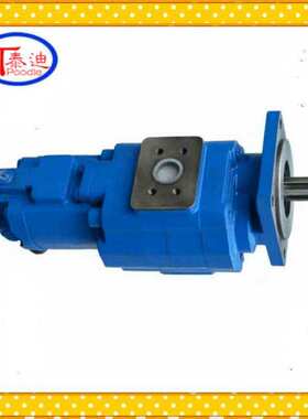 P257-G634872GA67/P124-G20ZNG双联泵  柳工862装载机双联齿轮泵