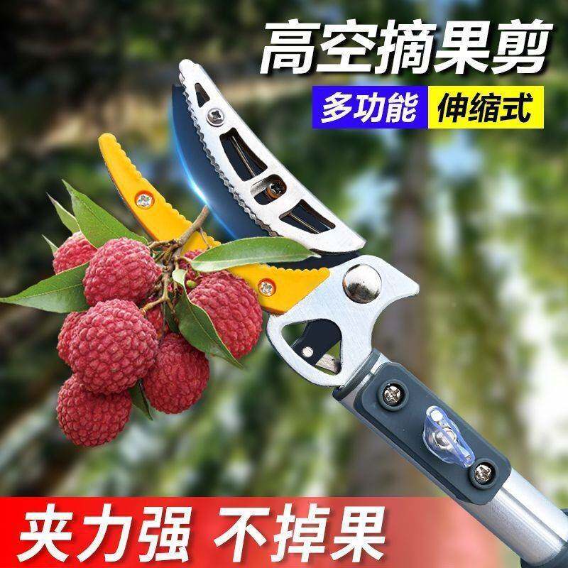 果枝树剪刀多功能神器伸缩杆眼高空采摘果荔子水YCJ果杨梅龙摘果