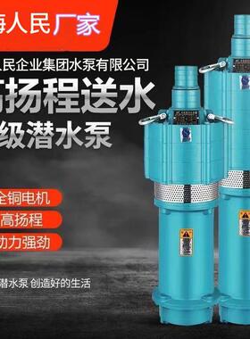 上海人民QY油浸小老鼠农用灌溉工程降水抽水泵多级泵高扬程潜水泵