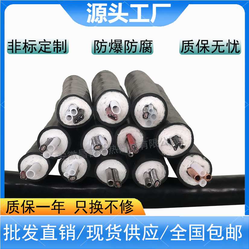 电热设备 伴热管缆线 CEMS采样管 伴热管线 220V高温 防爆型