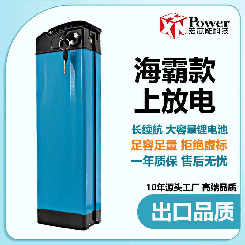 耐低温海霸48V锂电池12Ah21AH外卖代驾雪地车电动自行车20Ah电瓶