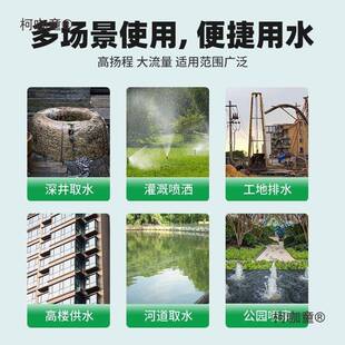 青蛙深井泵220V高扬程不锈钢深井泵农用多级潜水泵家用井水麦太保