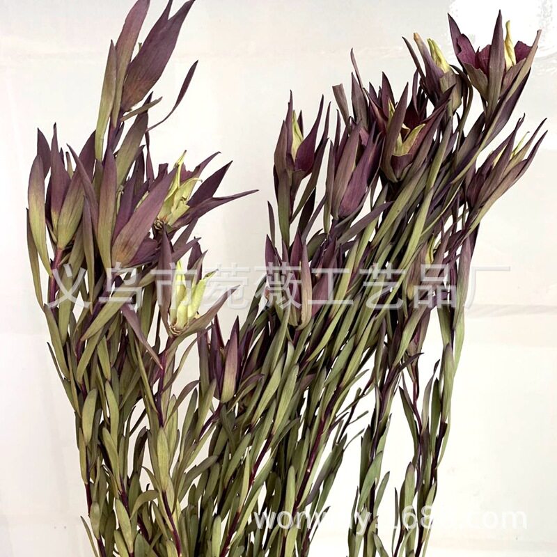 天然植物干花木百合 插花 软装 花艺 工艺品搭配
