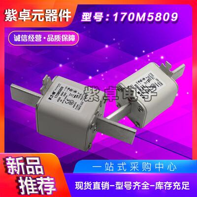 170M5808170M5809170M5810170M5811170M5812170M5813保险丝