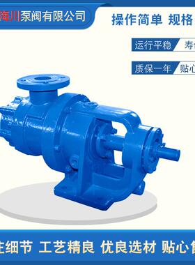 NY高PSPV粘转子泵304不锈钢材质度角齿轮泵皂用胶水输送内啮合保