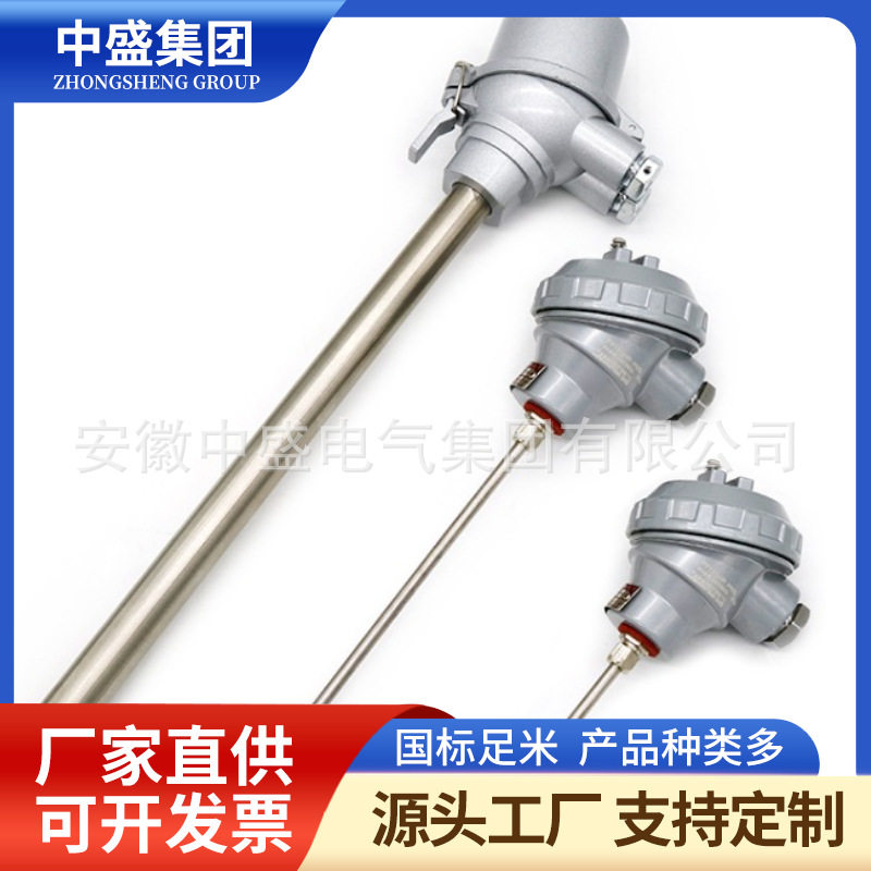 热电阻\WZGPK2-53P2AHG8000-M-2AZ1\PT100\8000\5\0~500℃\G1/2