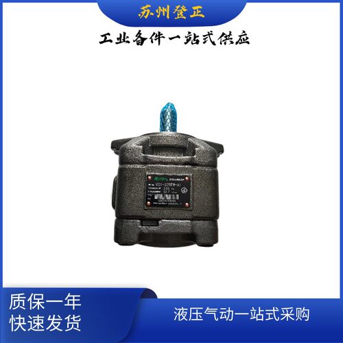 ALBERT艾伯特双联叶片泵T6CCW
