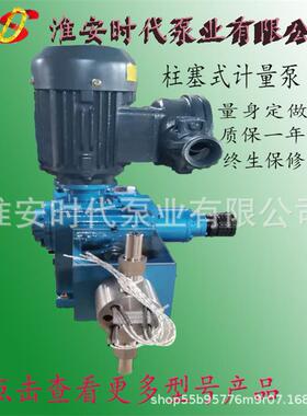柱塞泵量泵柱塞式计量泵XEN调量计单泵柱塞泵