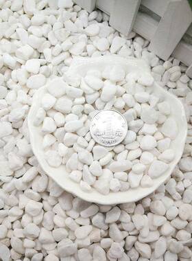 枯山水景862院观1天然白色砾石洗米石-35-cm庭造景水洗石雨花石