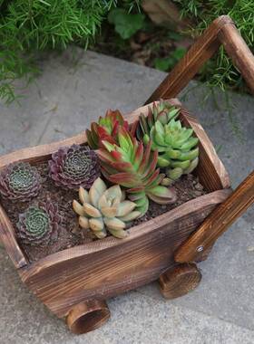 盆栽小车摆飘AL101882窗阳台装饰木花物质田园室内花盆植盆栽件花