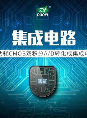 DY2101多字一极机械保护数万用表DY2101/215电容三管温0度频率数