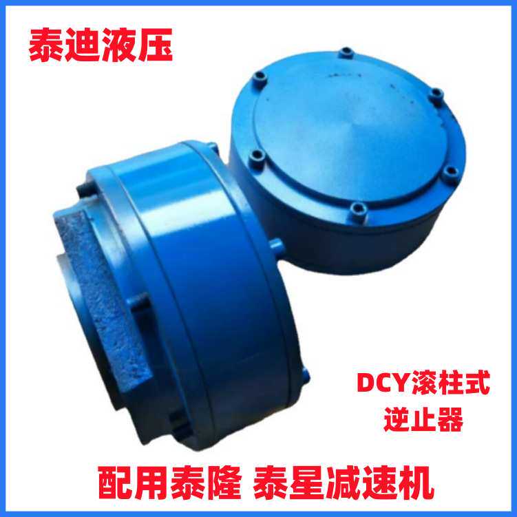 DCY500 DCY560滚柱式逆止器 配用泰隆 泰星减速机