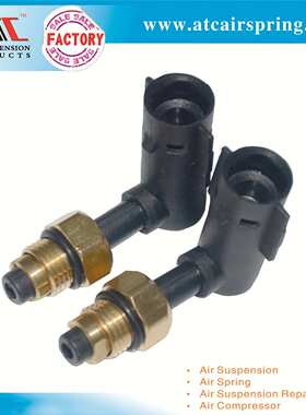 适用于大切诺基 RAM1500  气嘴组合件 68029903AE 68029902AE