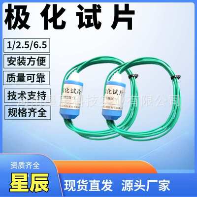 阴极保护极化试片6.5平方电位检查片1平方带开关测试片自腐蚀试片