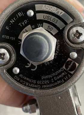 LUMIGLAS防爆灯 F.H. Papenmeier USL 05 USL 06