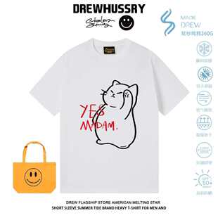 DREW敬礼小猫趣味印花短袖T恤男女同款港风百搭小众设计感街头ins