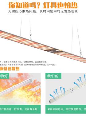 内植生长灯LED全光谱折量子板种物植灯悬挂式叠室大QCZ棚育苗种植