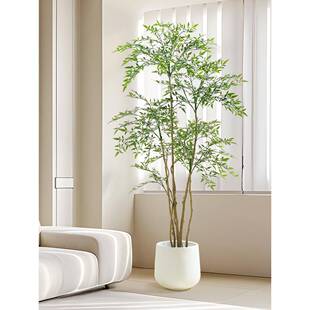 熙轻奢南绿植天竹室帝77138467内大型落地摆件客厅装饰树仿生假植