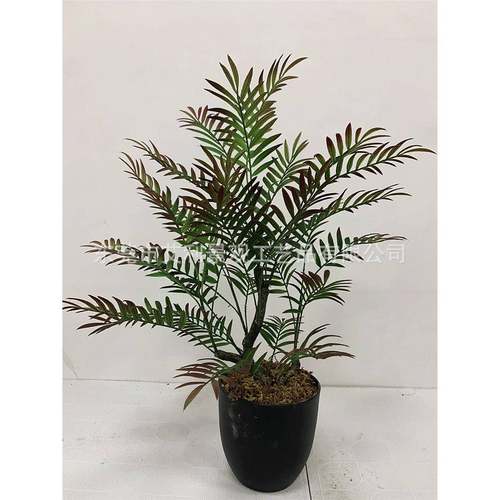 盆009-08-0栽蕨树马尾蕨草造家居装假饰波斯树绿植人塑料树草盆景