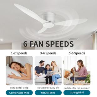 大风黑色复古扇吊扇餐厅客厅家806用简约无灯电风扇力吸商用顶风