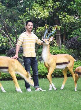 仿真动物光藏羚羊装摆件景工艺品观花园发林庭院户外饰玻璃钢藏羚