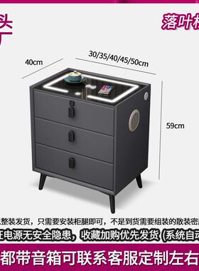 能床头智柜轻奢简约现代实木多功LKZ能保柜指纹锁边险柜收纳床网