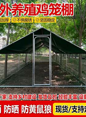 户外鸡BBH笼鸡棚大家禽养特鸡雀鸽笼搭建家用养殖孔防雨鸡舍号大