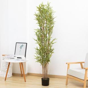 驰脱仿真竹子假子院绿竹盆栽造室内庭屏风装饰竹假绿植盆景仿仿真