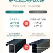 全镜穿衣身落地镜30890家用壁挂贴墙红女网生卧室宿舍简约挂墙试